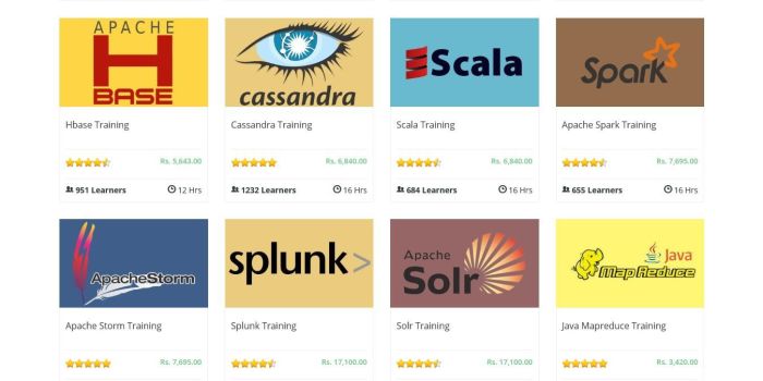 Intellipaat Softwares